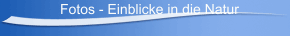 Fotos - Einblicke in die Natur
