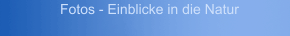 Fotos - Einblicke in die Natur